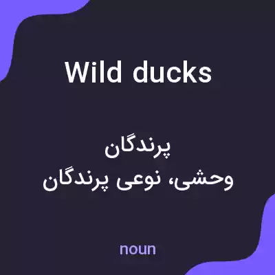 معنی wild ducks به فارسی معنی wild ducks به فارسی