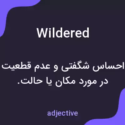 معنی wildered به فارسی معنی wildered به فارسی