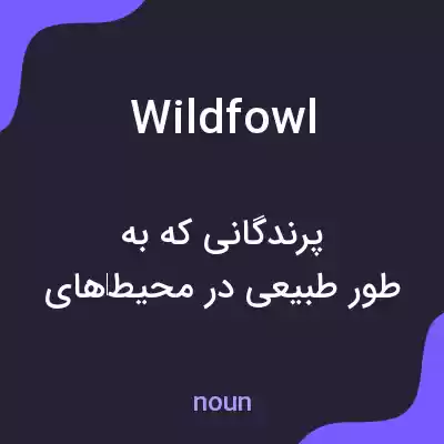 معنی wildfowl به فارسی معنی wildfowl به فارسی