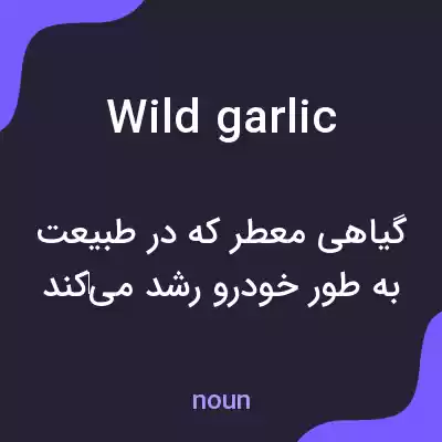 معنی wild garlic به فارسی معنی wild garlic به فارسی