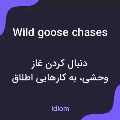 معنی wild goose chases به فارسی معنی wild goose chases به فارسی