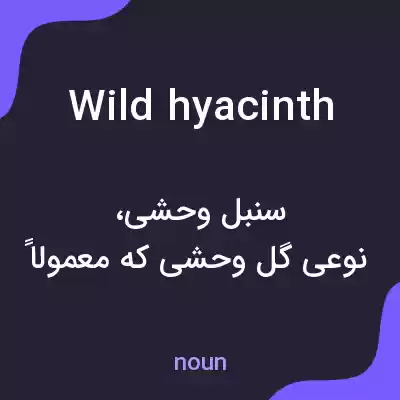 معنی wild hyacinth به فارسی معنی wild hyacinth به فارسی