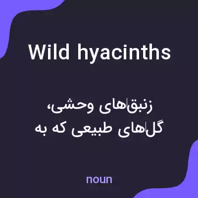 معنی wild hyacinths به فارسی معنی wild hyacinths به فارسی