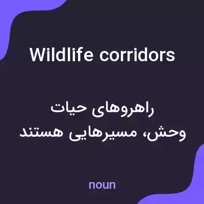 معنی wildlife corridors به فارسی معنی wildlife corridors به فارسی
