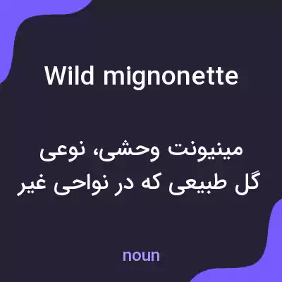 معنی wild mignonette به فارسی معنی wild mignonette به فارسی