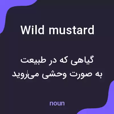 معنی wild mustard به فارسی معنی wild mustard به فارسی