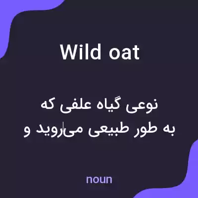 معنی wild oat به فارسی معنی wild oat به فارسی