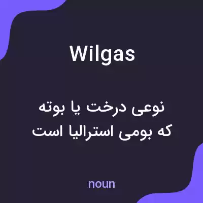 معنی wilgas به فارسی معنی wilgas به فارسی