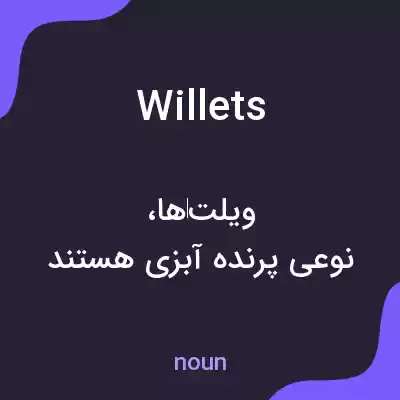 معنی willets به فارسی معنی willets به فارسی