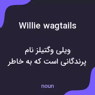 معنی willie wagtails به فارسی معنی willie wagtails به فارسی