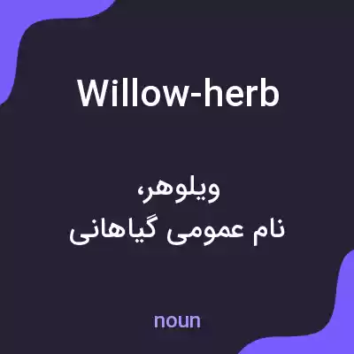 معنی willow-herb به فارسی