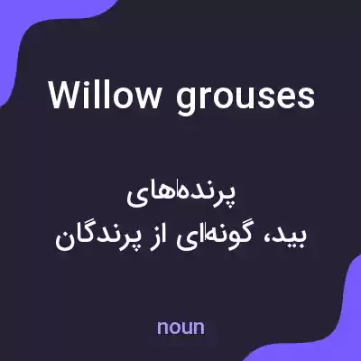 معنی willow grouses به فارسی معنی willow grouses به فارسی