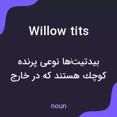 معنی willow tits به فارسی معنی willow tits به فارسی
