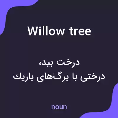 معنی willow tree به فارسی معنی willow tree به فارسی