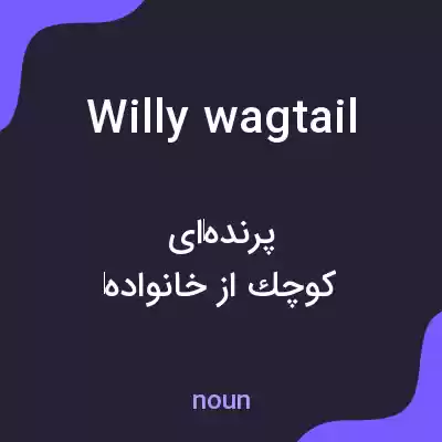 معنی willy wagtail به فارسی معنی willy wagtail به فارسی