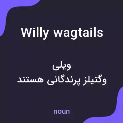 معنی willy wagtails به فارسی معنی willy wagtails به فارسی