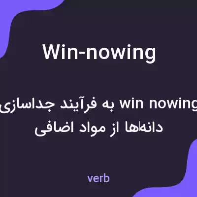 معنی win-nowing به فارسی معنی win-nowing به فارسی