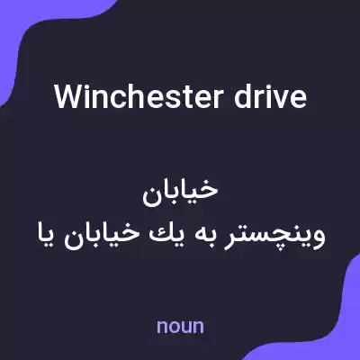 معنی winchester drive به فارسی معنی winchester drive به فارسی