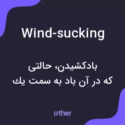 معنی wind-sucking به فارسی معنی wind-sucking به فارسی