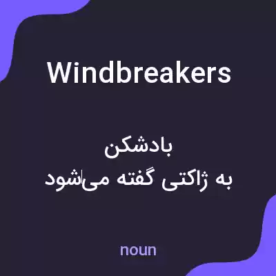 معنی windbreakers به فارسی معنی windbreakers به فارسی