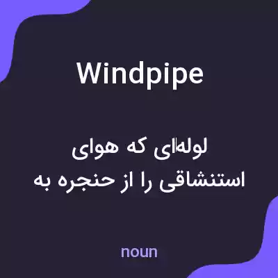 معنی windpipe به فارسی