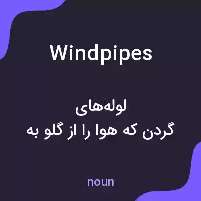 معنی windpipes به فارسی معنی windpipes به فارسی