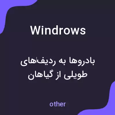 معنی windrows به فارسی