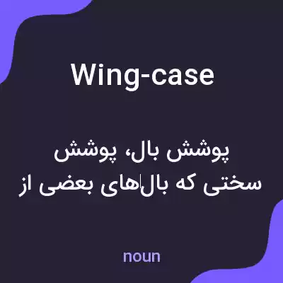 معنی wing-case به فارسی معنی wing-case به فارسی