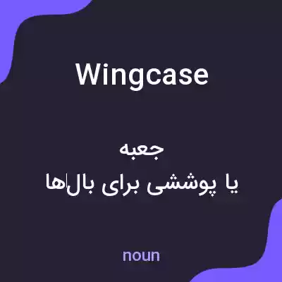 معنی wing case به فارسی معنی wing case به فارسی