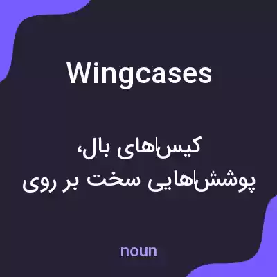 معنی wingcases به فارسی معنی wingcases به فارسی