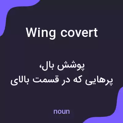 معنی wing covert به فارسی معنی wing covert به فارسی