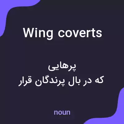 معنی wing coverts به فارسی معنی wing coverts به فارسی