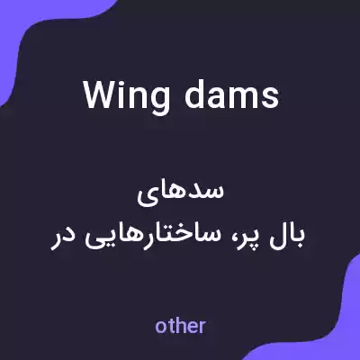 معنی wing dams به فارسی معنی wing dams به فارسی