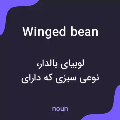 معنی winged bean به فارسی معنی winged bean به فارسی