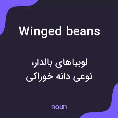 معنی winged beans به فارسی معنی winged beans به فارسی