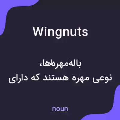 معنی wing nuts به فارسی معنی wing nuts به فارسی