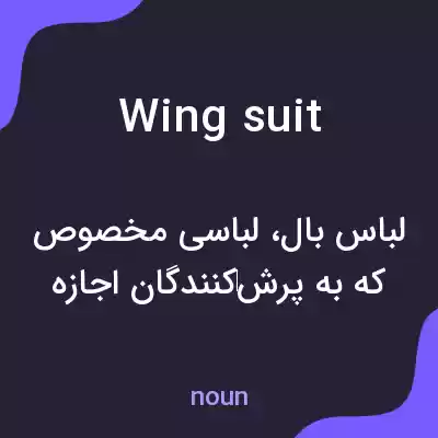 معنی wingsuit به فارسی معنی wingsuit به فارسی