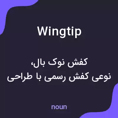 معنی wing tip به فارسی معنی wing tip به فارسی