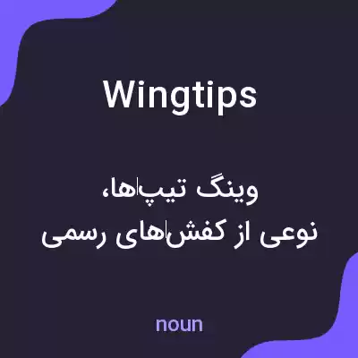 معنی wingtips به فارسی معنی wingtips به فارسی