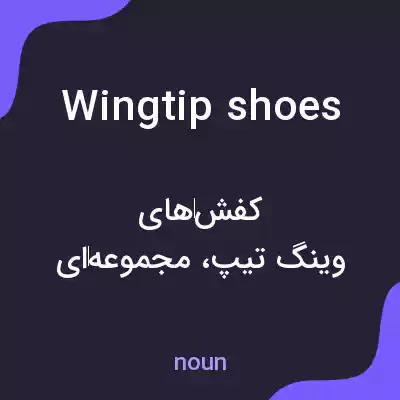 معنی wingtip shoes به فارسی معنی wingtip shoes به فارسی