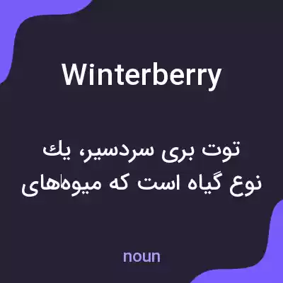 معنی winterberry به فارسی معنی winterberry به فارسی