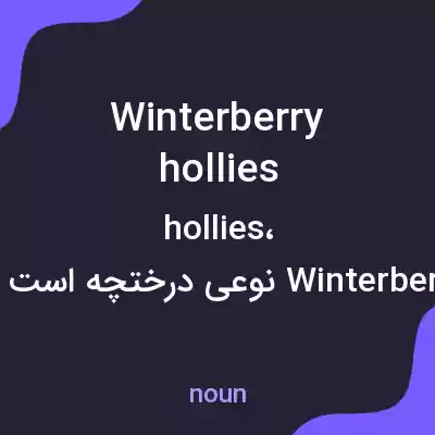 معنی winterberry hollies به فارسی معنی winterberry hollies به فارسی