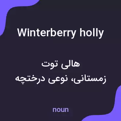 معنی winterberry holly به فارسی معنی winterberry holly به فارسی