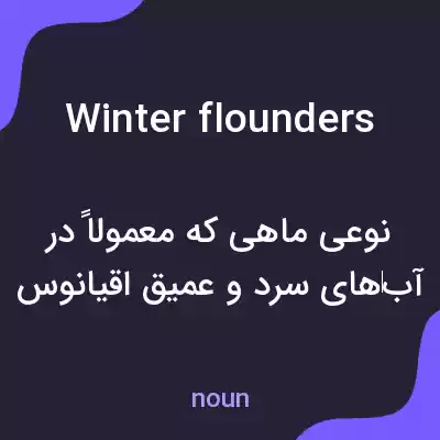 معنی winter flounders به فارسی