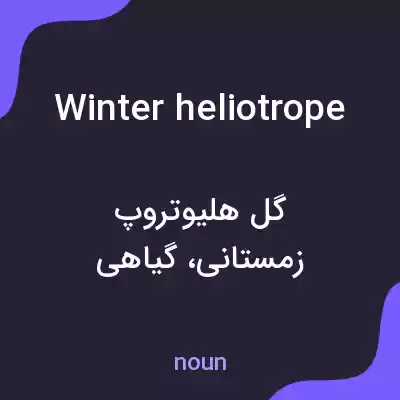 معنی winter heliotrope به فارسی معنی winter heliotrope به فارسی