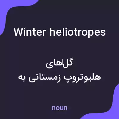 معنی winter heliotropes به فارسی معنی winter heliotropes به فارسی