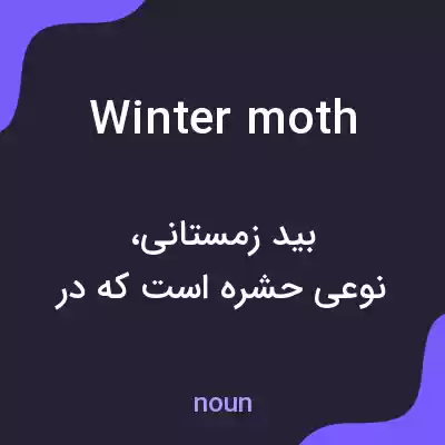 معنی winter moth به فارسی معنی winter moth به فارسی