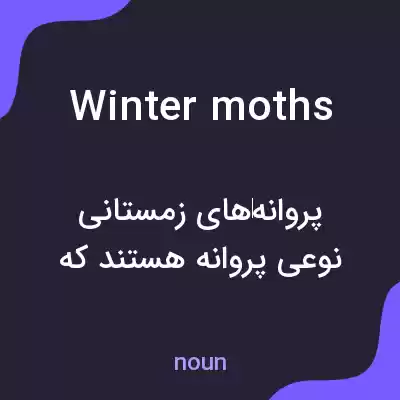 معنی winter moths به فارسی معنی winter moths به فارسی