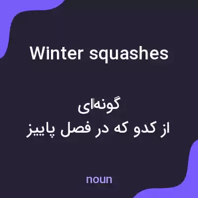 معنی winter squashes به فارسی معنی winter squashes به فارسی