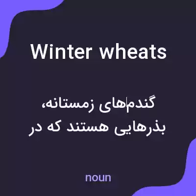 معنی winter wheats به فارسی معنی winter wheats به فارسی
